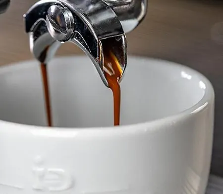 Πανσιόν Cavalierhaus Branitz 3*