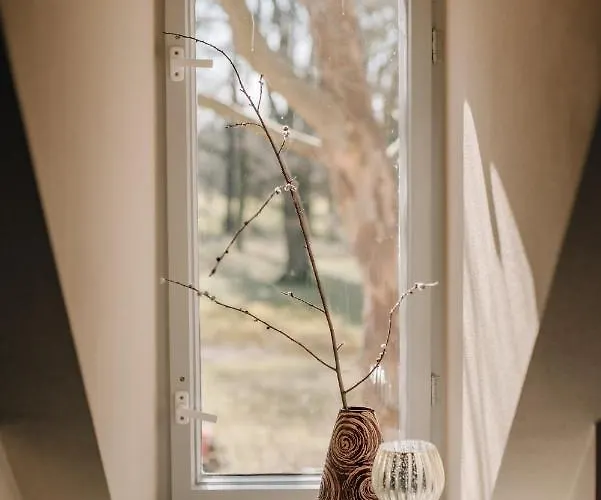 Guest house Cavalierhaus Branitz